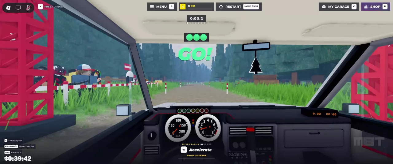 Green GO signal and running stage timer at the Pine Forest start line.